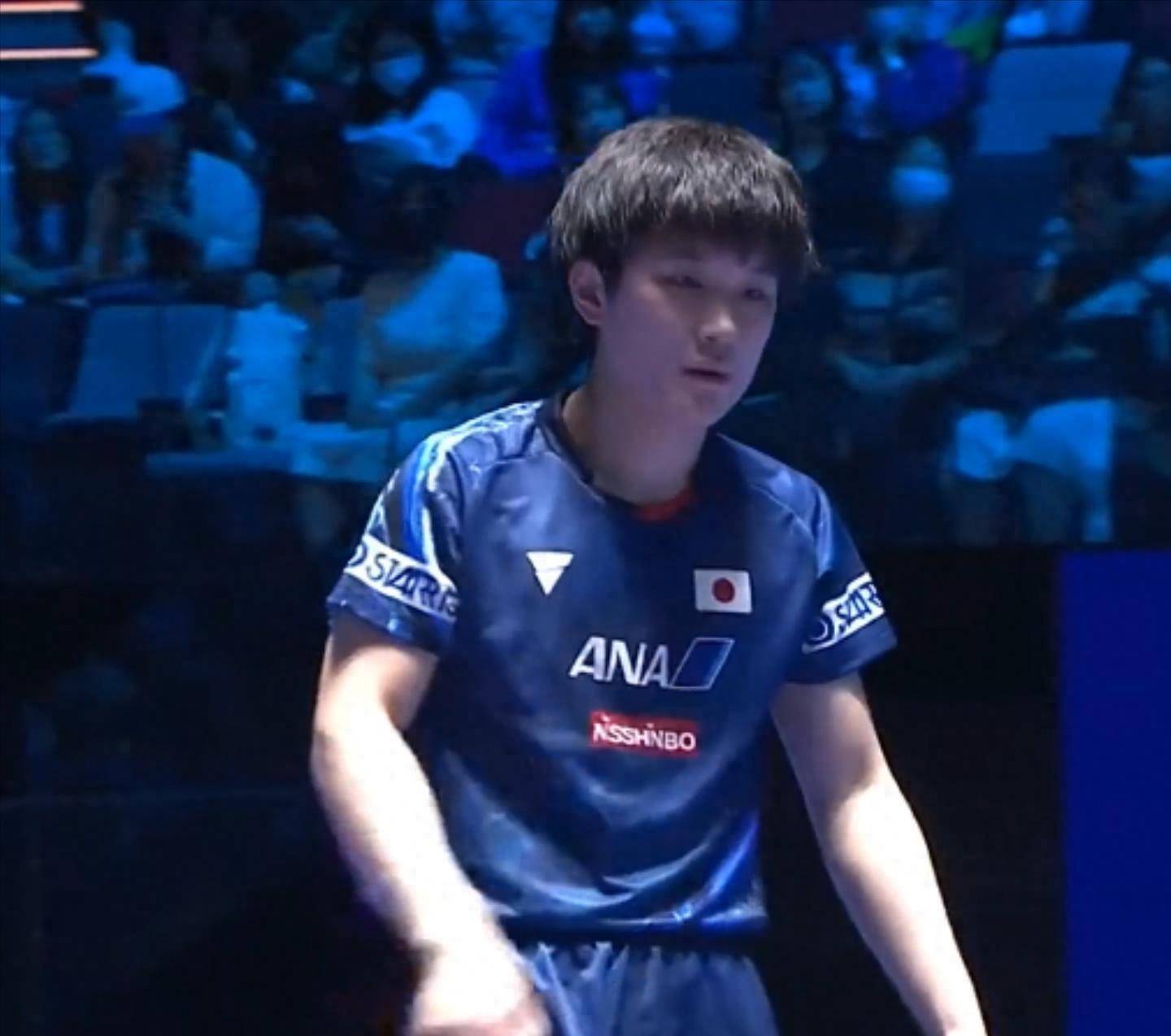 德国队横扫韩国队，张本智和状态火热